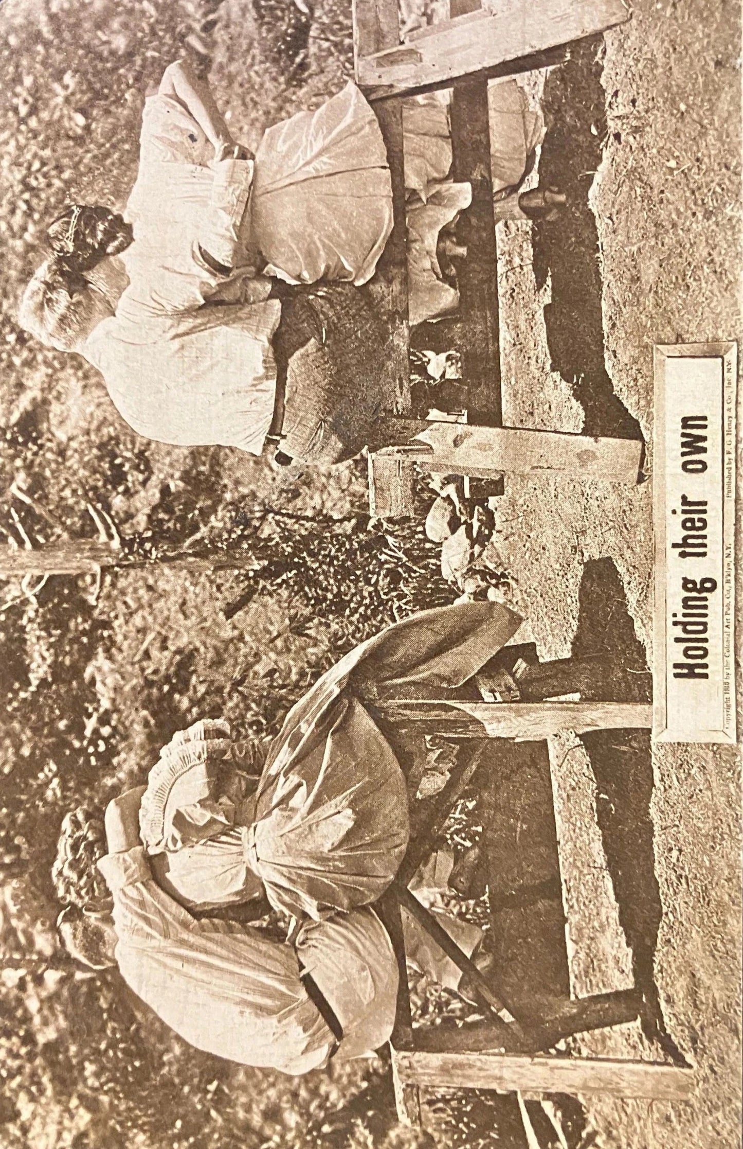 Holding Their Own - Vintage Postcard