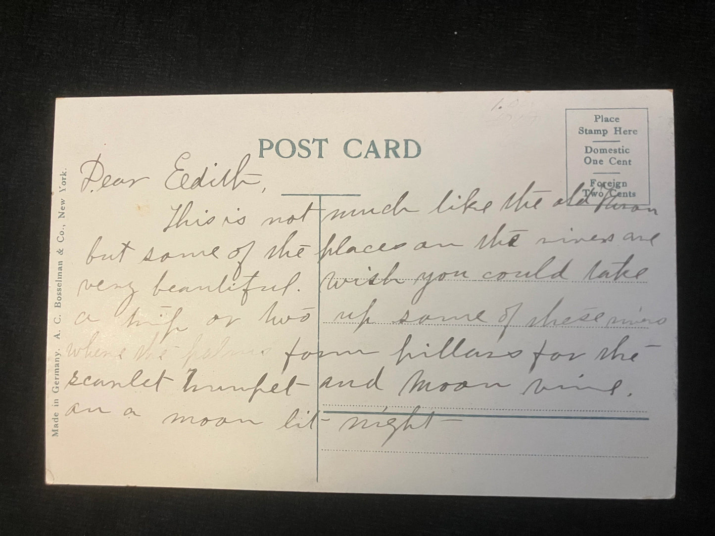 View on the Tomoka, Florida - Vintage Postcard
