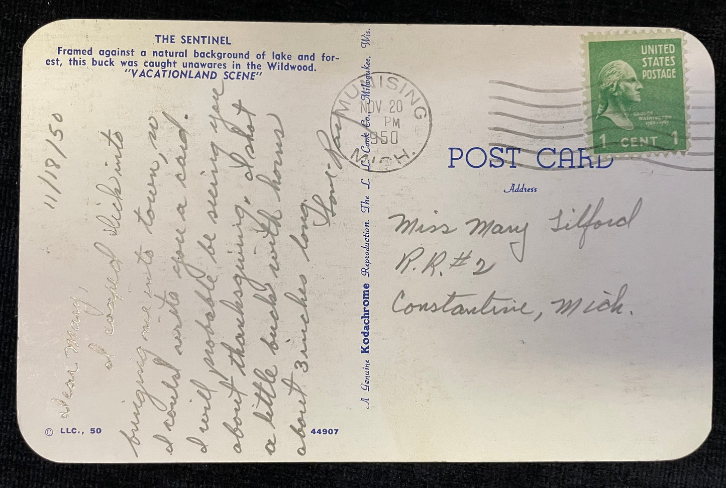 The Sentinel - "Vacationland Scene" - White Tailed Deer Buck in the Wildwood - Wisconsin - 1950 Postcard