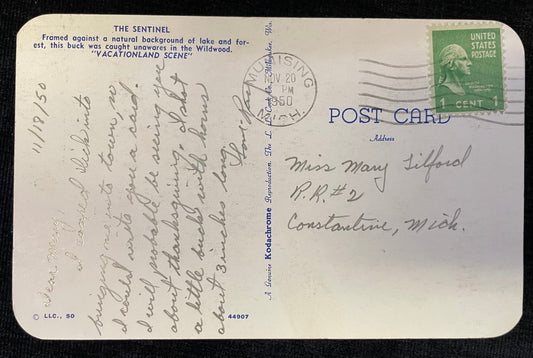 The Sentinel - "Vacationland Scene" - White Tailed Deer Buck in the Wildwood - Wisconsin - 1950 Post