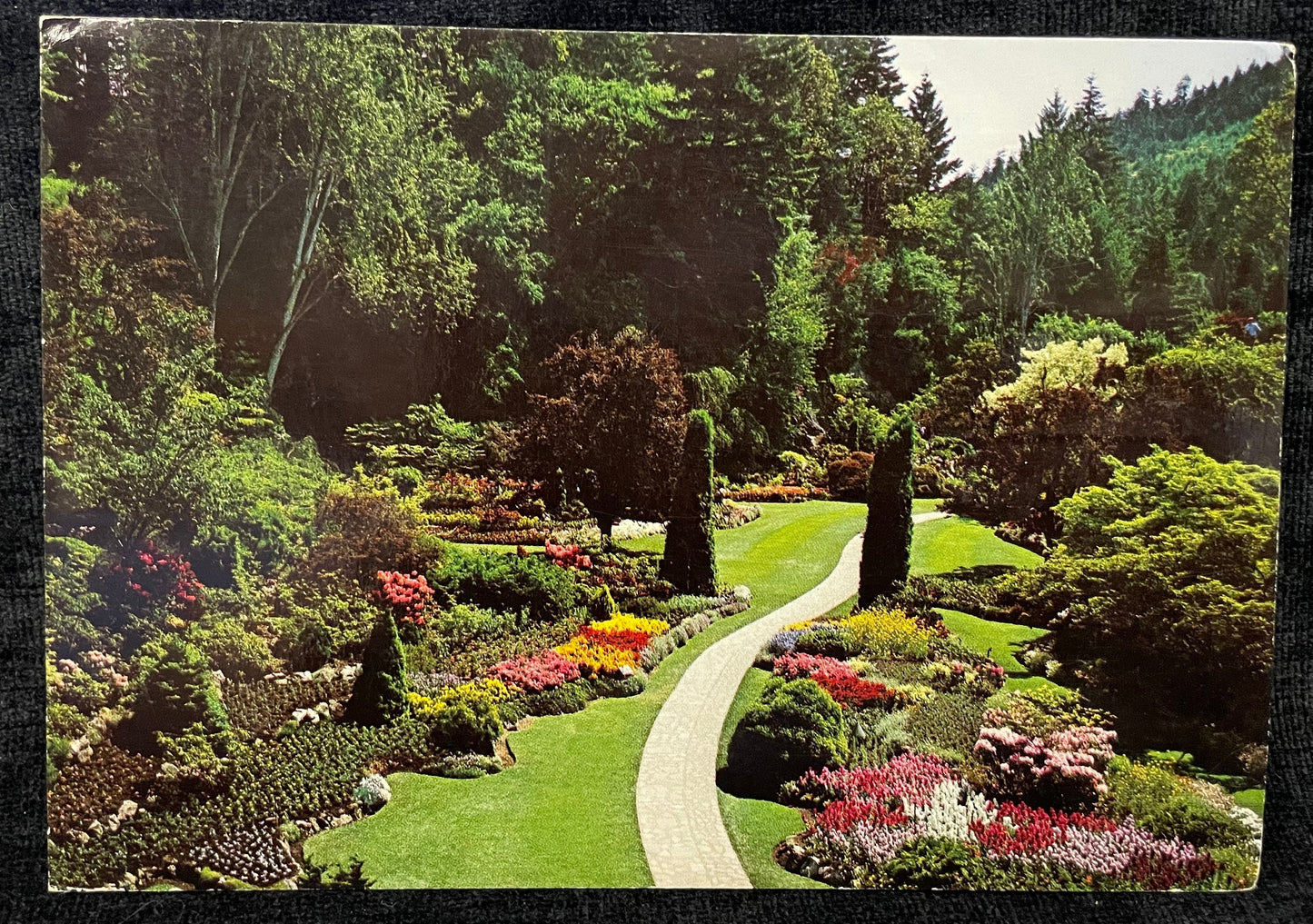 The Sunken Garden - The Butchart Gardens - Victoria, British Colombia, Canada - Clifford A. Fenner Photo - 1984 Postcard