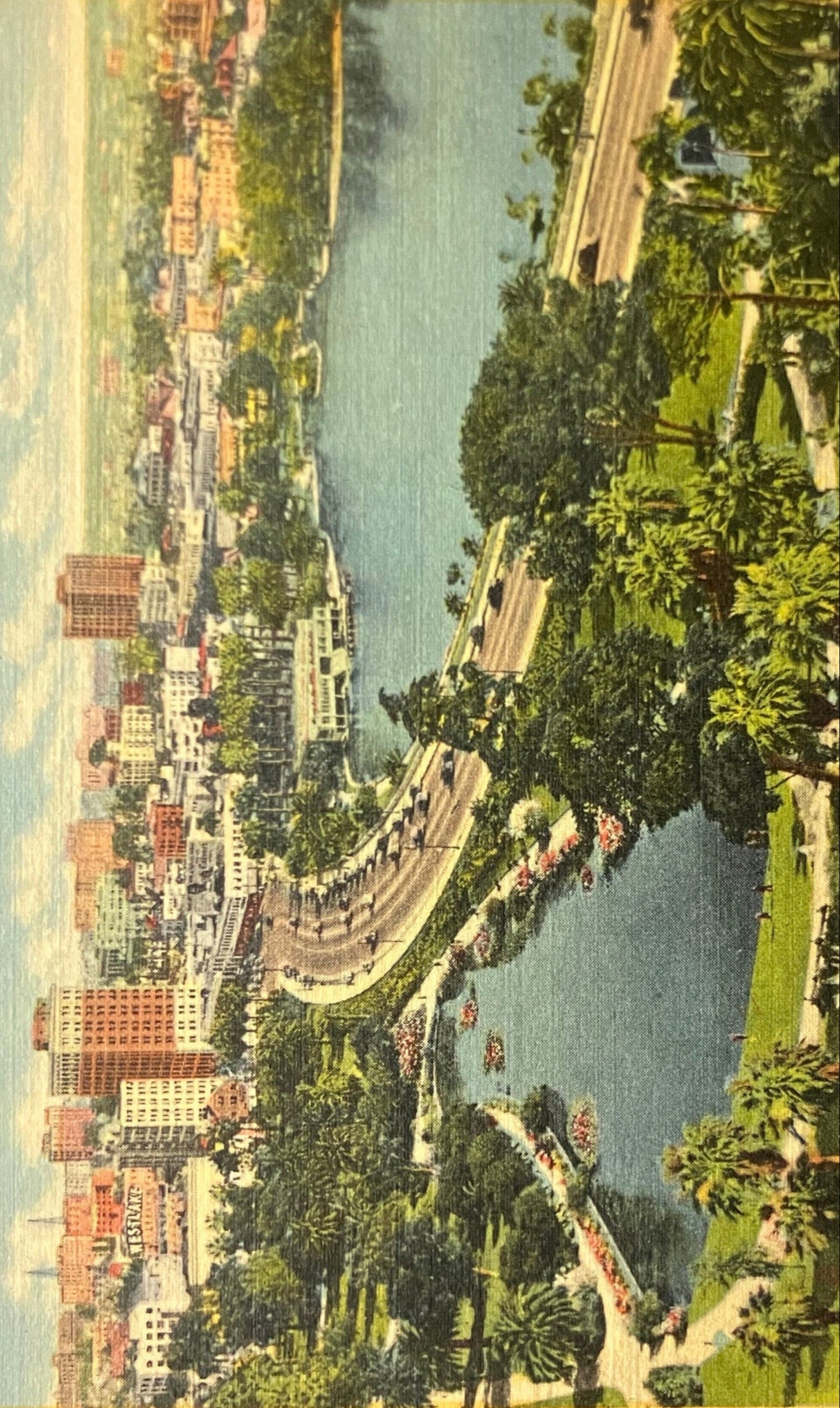 General Douglas MacArthur Park showing Wilshire Boulevard and the Westlake Shopping District. - Los Angeles, California - Linen Postcard