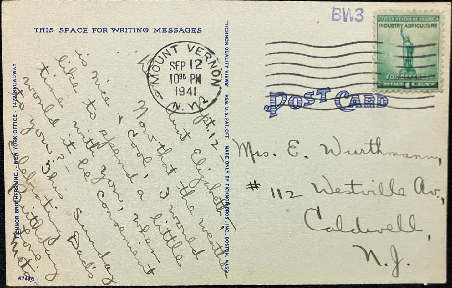 Whilestone Bridge, New York City - Vintage Postcard