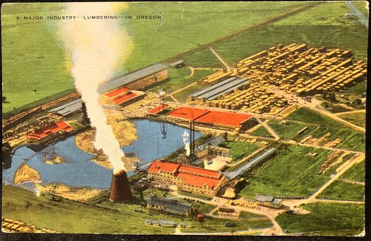 A Major Industry - Lumbering - In Oregon - Vintage Postcard