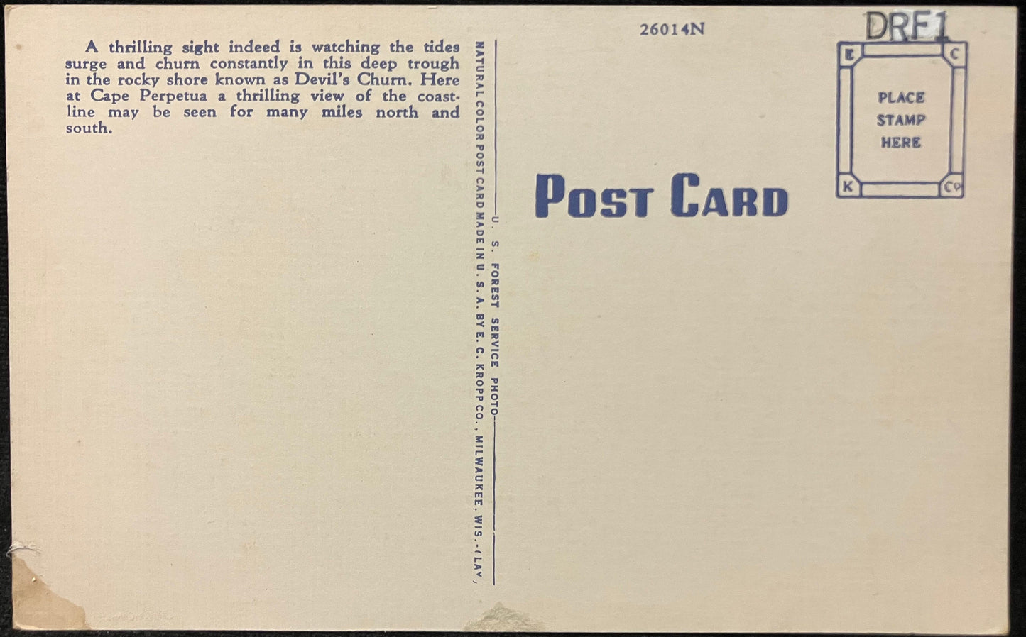 Driftwood Bridge Over Devil’s Churn at Cape Perpetua, Oregon - Vintage Postcard