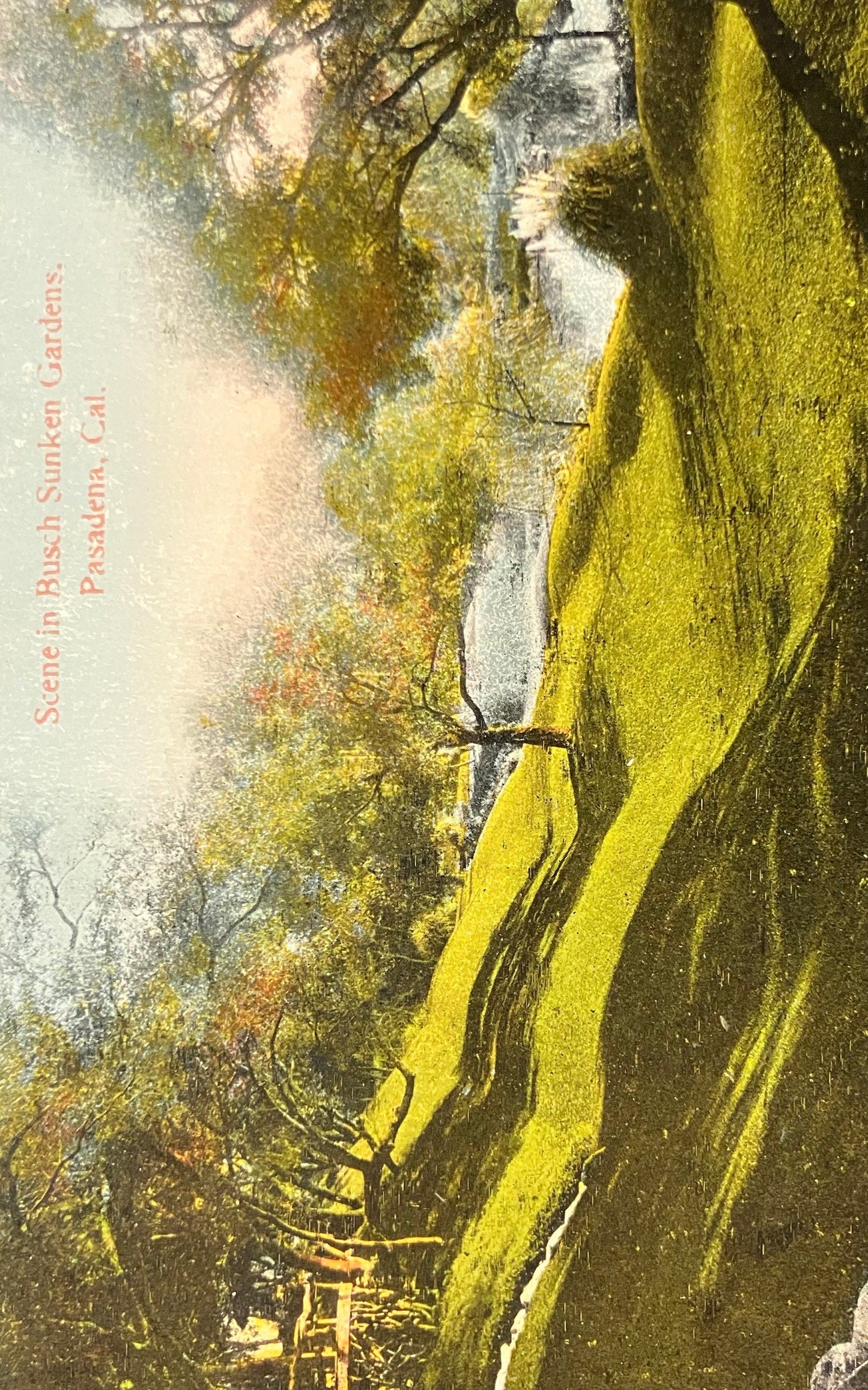 Scene in Busch Sunken Gardens - Pasadena, Cal. - Vintage Postcard