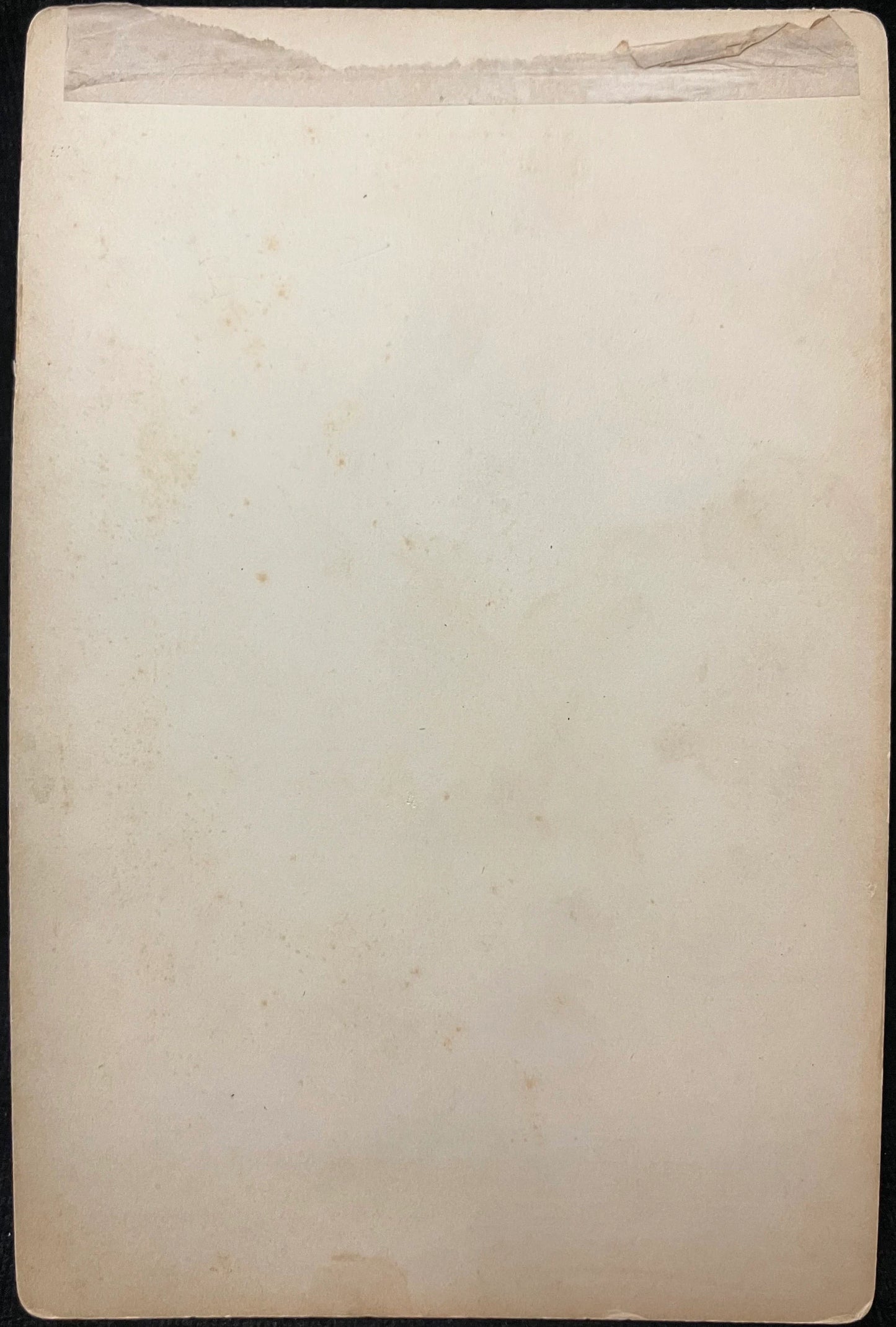 A Victorian Family - Atherton - Reed City, Michigan - Vintage Carte de Visite