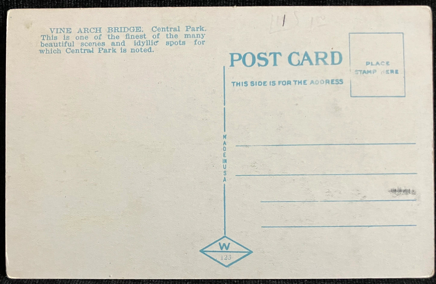 Vine Arch Bridge, Central Park, New York - Vintage Bridge Postcard