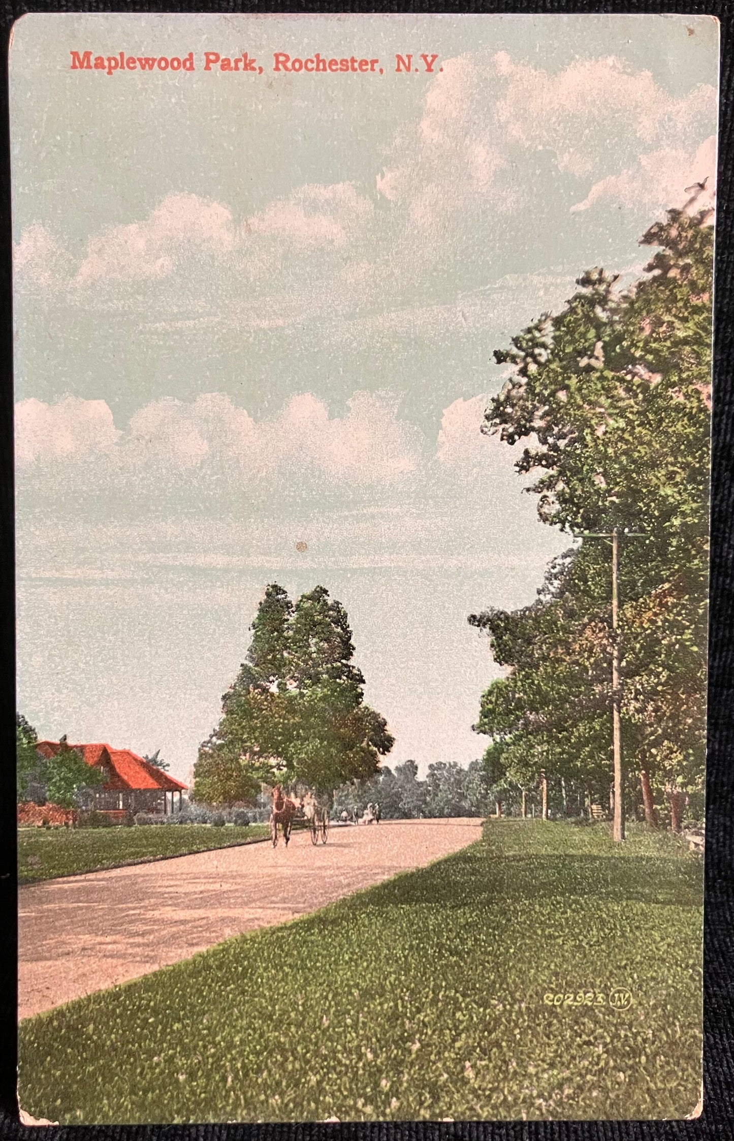 Maplewood Park, Rochester, New York - Printed in Great Britain - Vintage Postcard