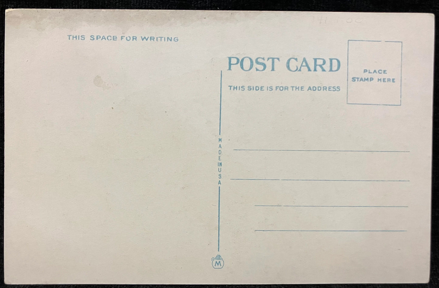 Buffalo in Buffalo, New York - Vintage Nature Postcard