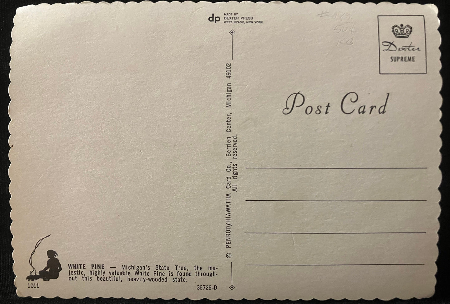 White Pine, Michigan's State Tree - Photo: John Penrod - Vintage Postcard
