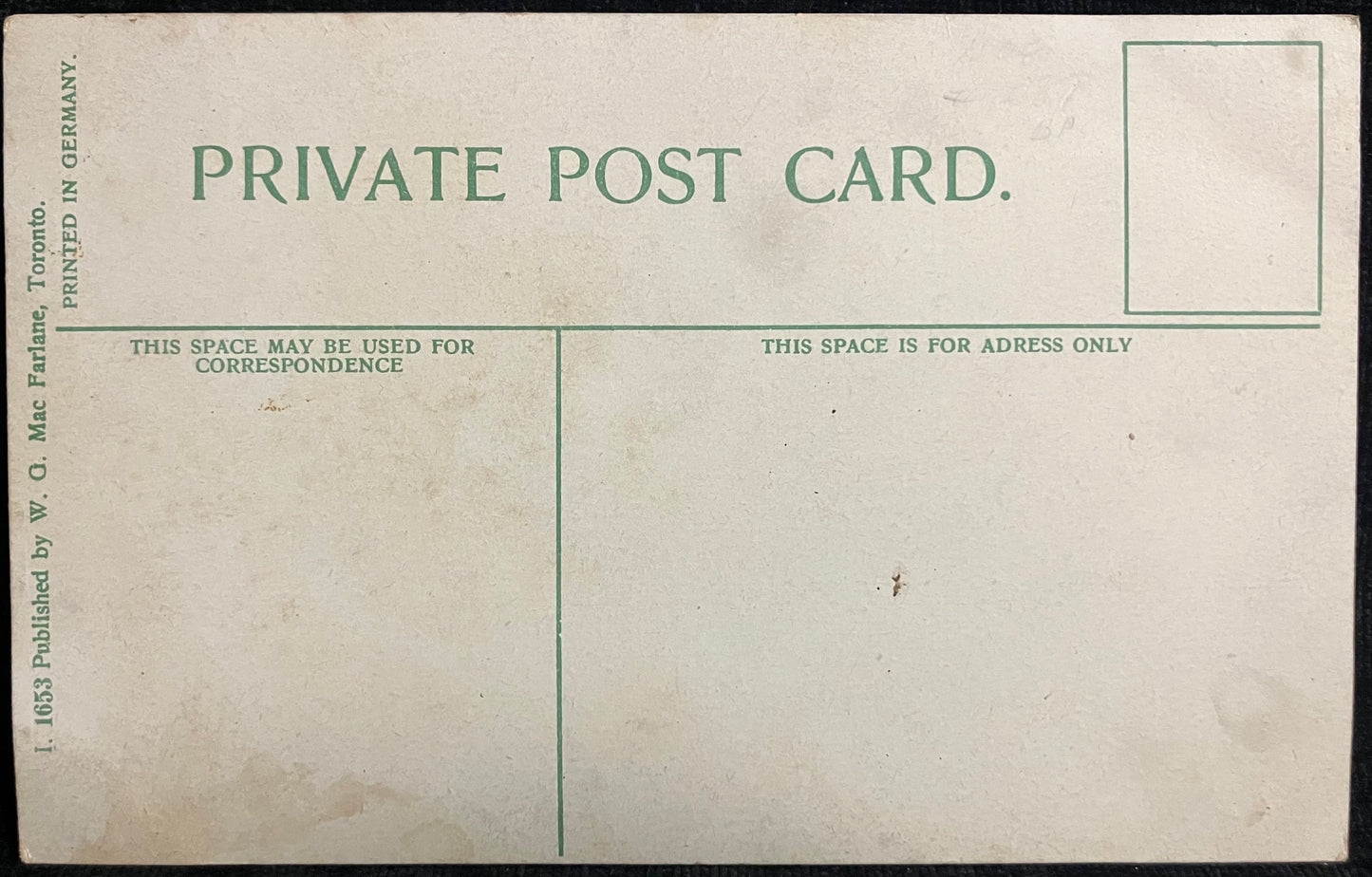 View on Severn River - Maryland - Printed in Germany - Vintage Postcard
