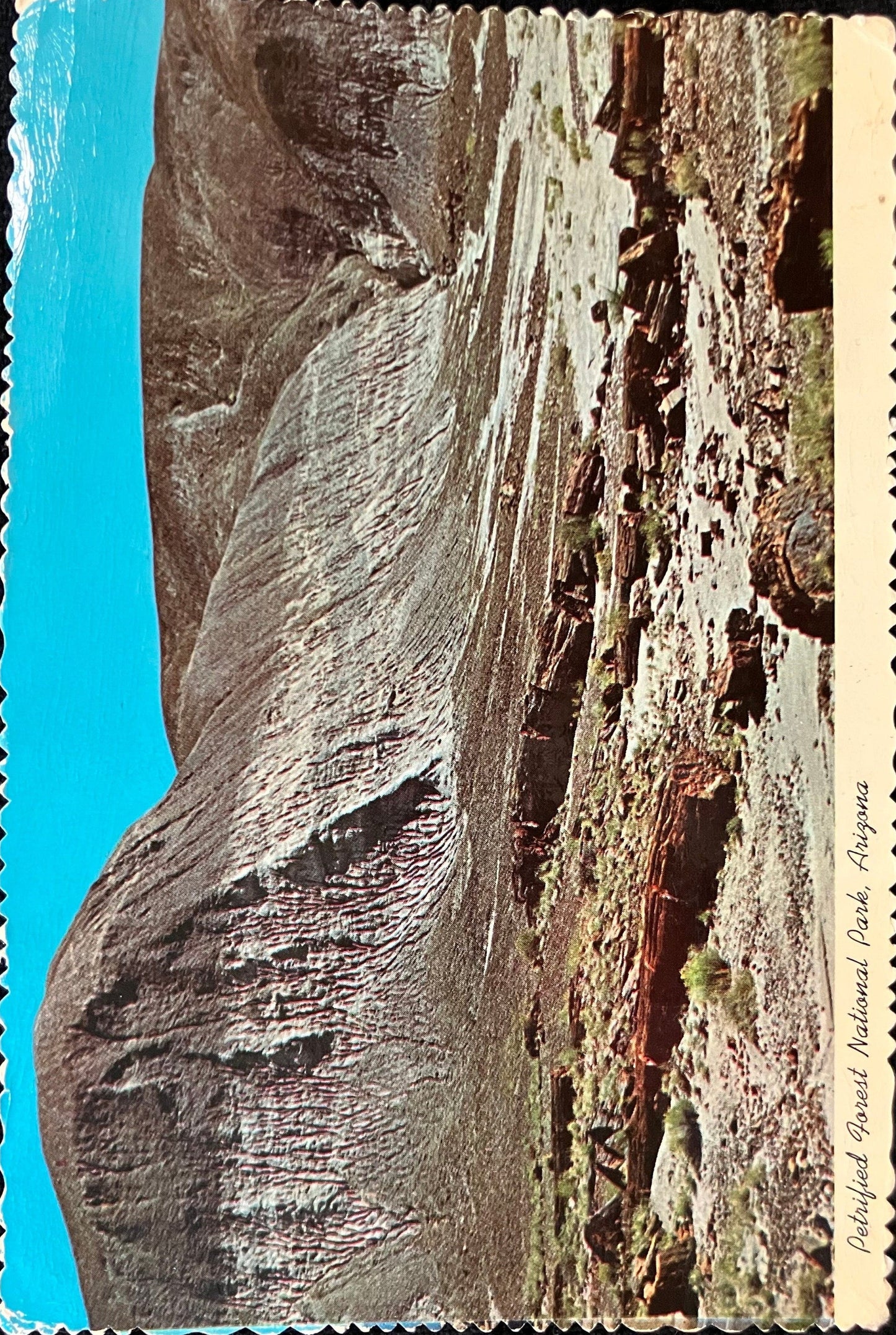 Petrified Forest National Park, Arizona - Vintage Postcard