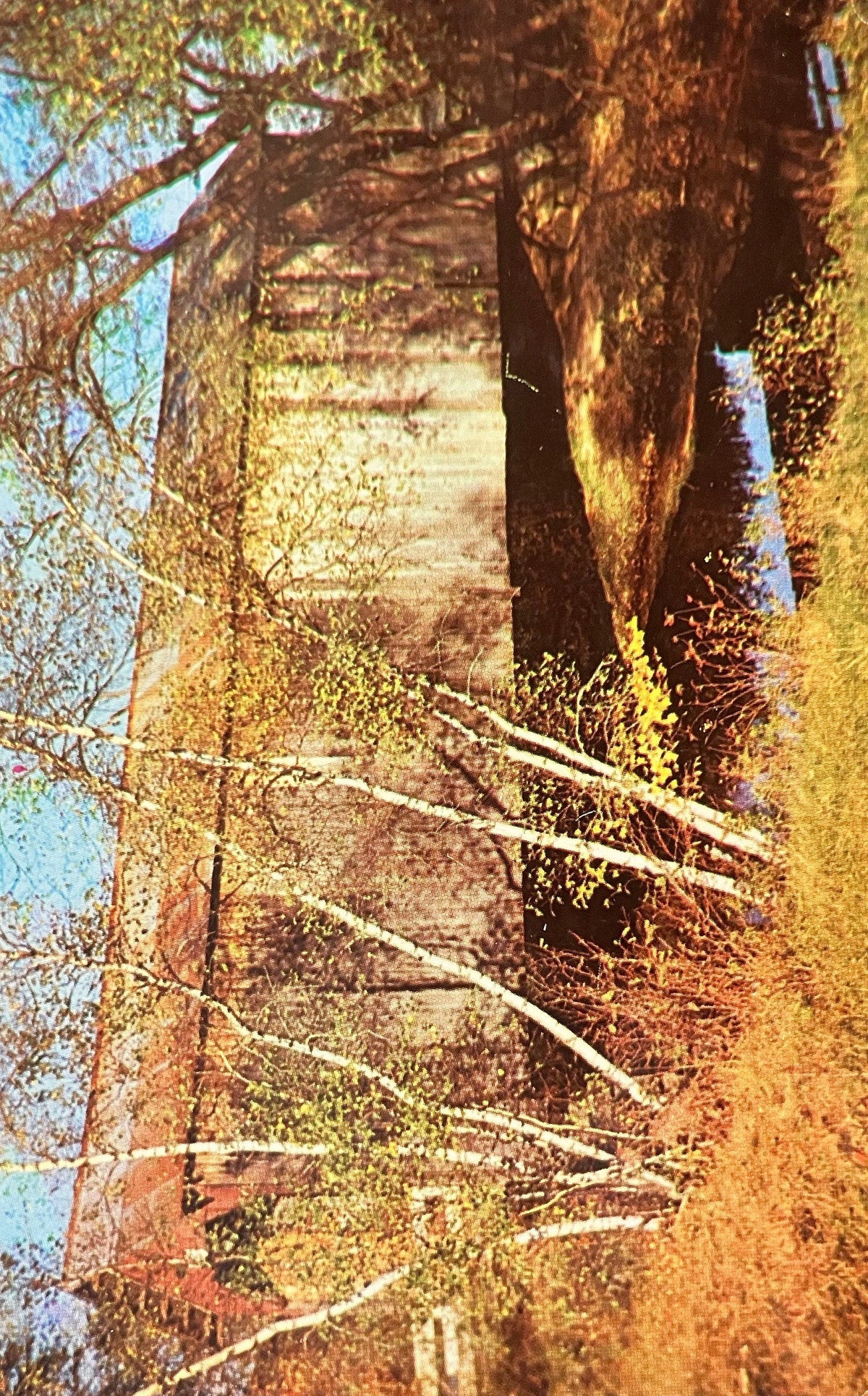 Old Covered Bridge near East Swanzey, New Hampshire - Photo by Carleton Allen - Vintage Covered Brid