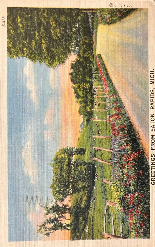 Greetings from Eaton Rapids, Michigan - C. T. & Co. - Vintage Postcard