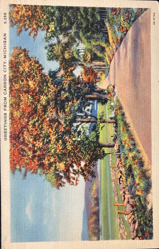 Greetings From Carson City, Michigan - Vintage Postcard
