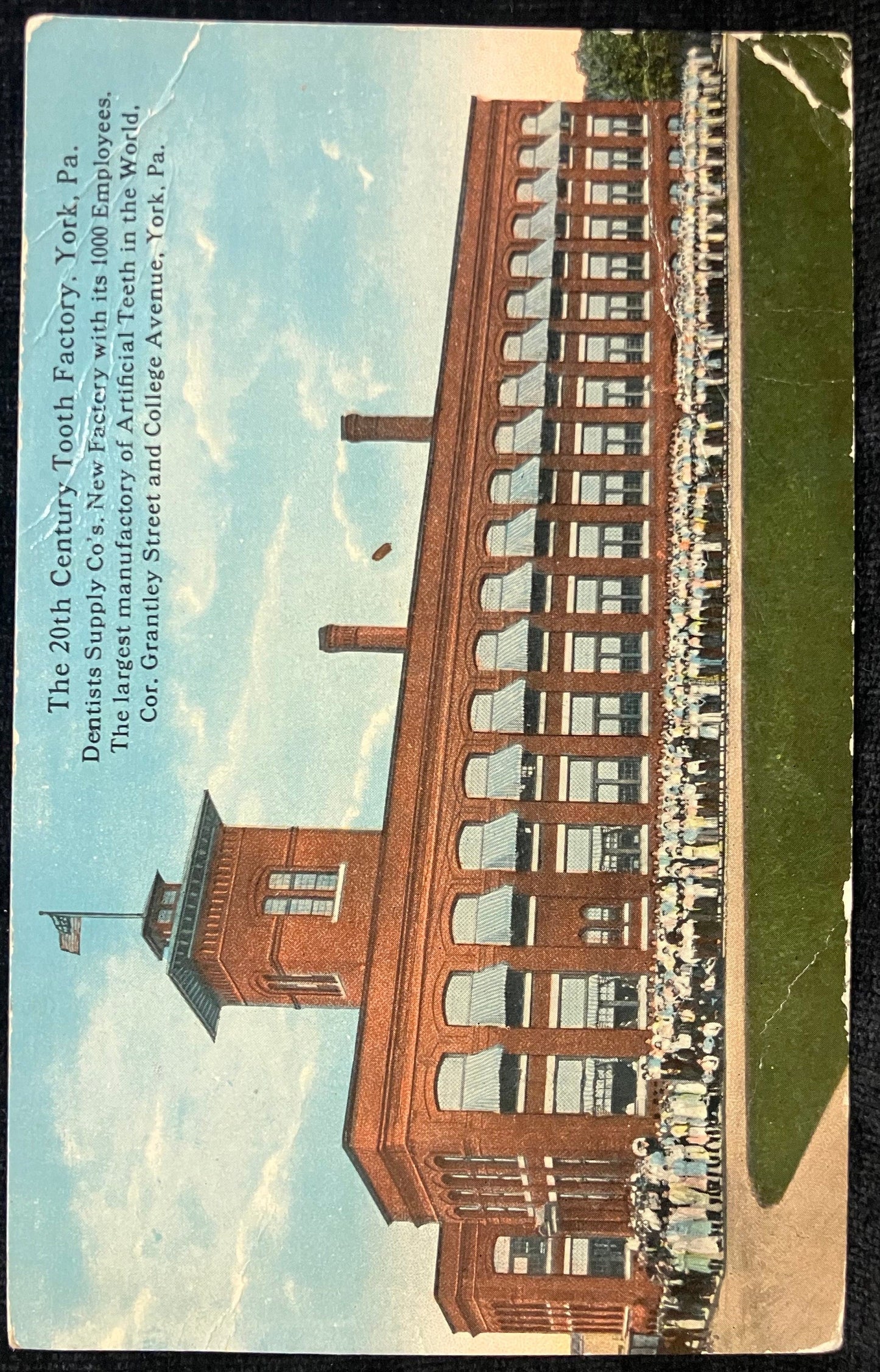 The 20th Century Tooth Factory, York, PA. Dentists Supply Co’s…. The Largest Manufactury of Artificial Teeth in the World. 1919 postcard