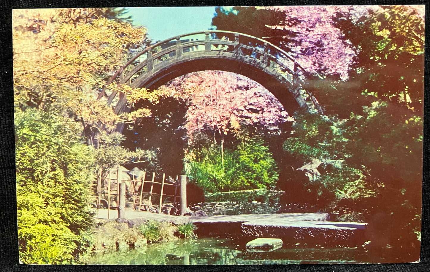Japanese Tea Garden - San Francisco, California - Vintage Postcard