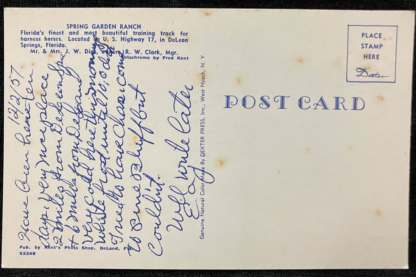 Spring Garden Ranch in DeLeon Springs, Florida - Photo: Fred Kent - Vintage Equestrian Postcard