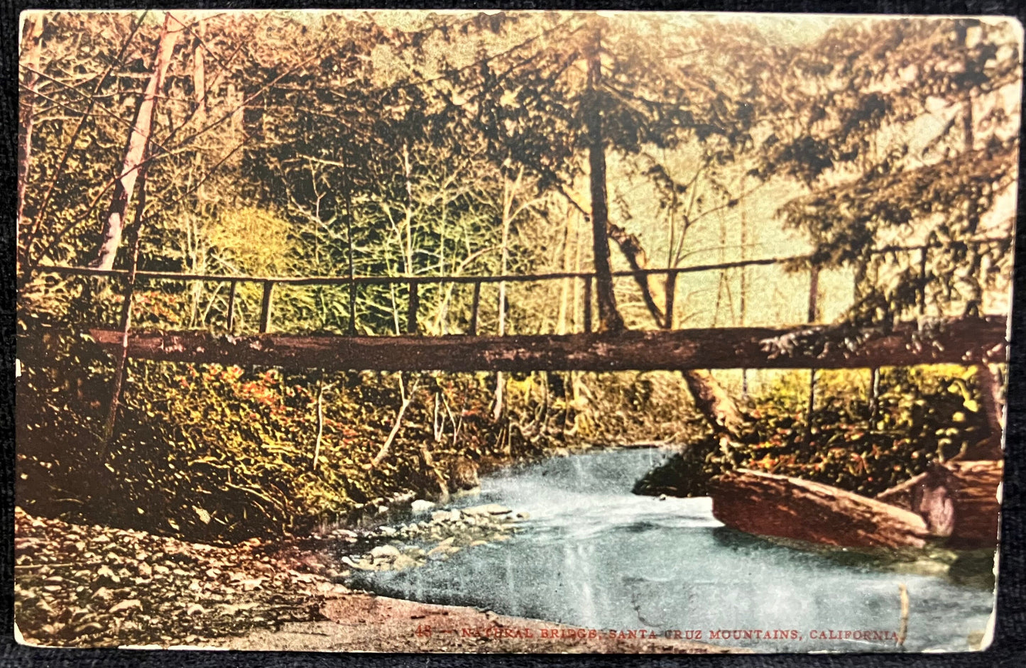 Natural Bridge - Santa Cruz Mountains, California. - Vintage Postcard