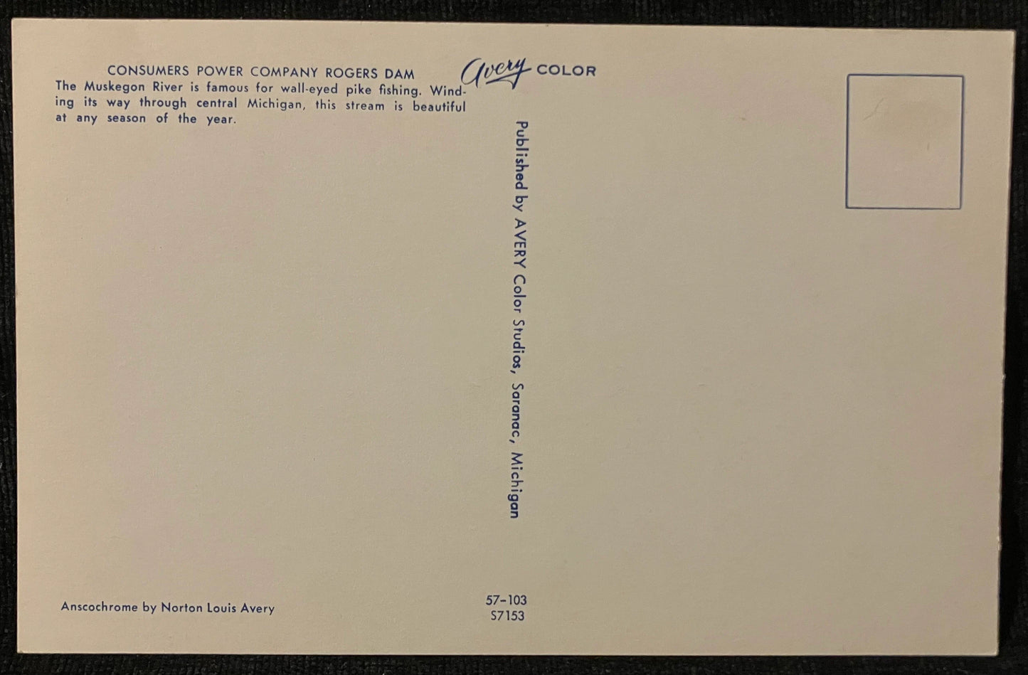 Consumers Power Company Rogers Dam on the Muskegon River in Michigan - Anscochrone: Norton Louis Avery - Vintage Dam Postcard