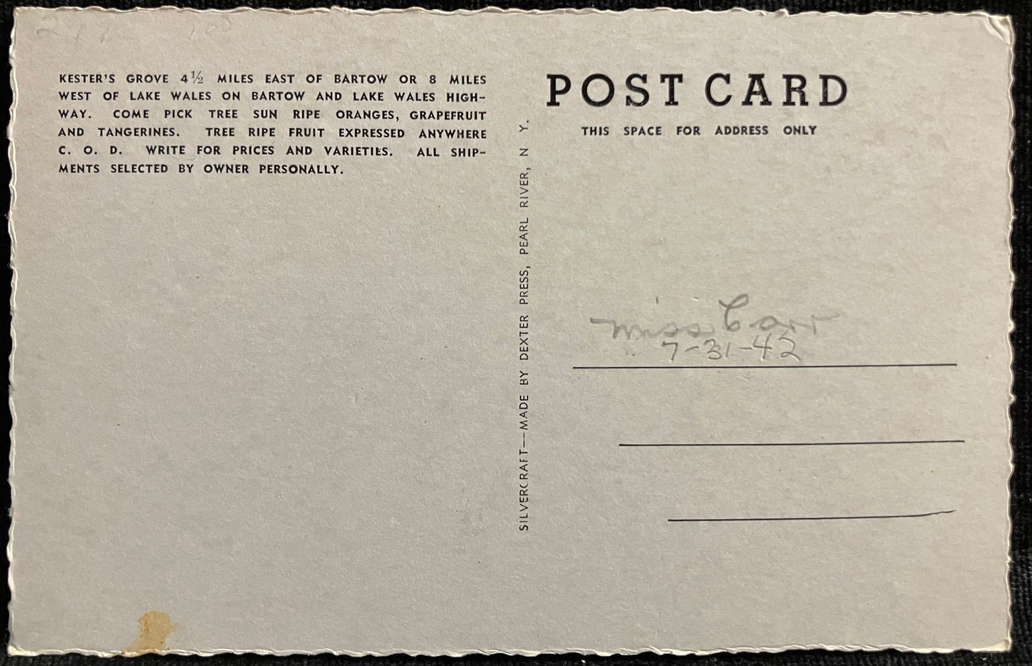 Kester’s Grove Route 2, Box 106 Bartow, Florida - Vintage Orchard Postcard