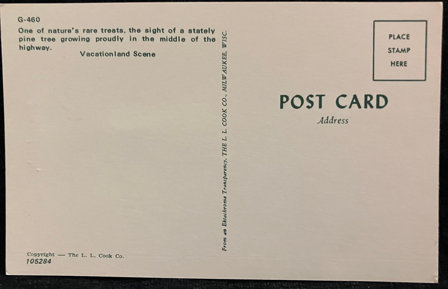 Seney, Michigan - Vintage Postcard