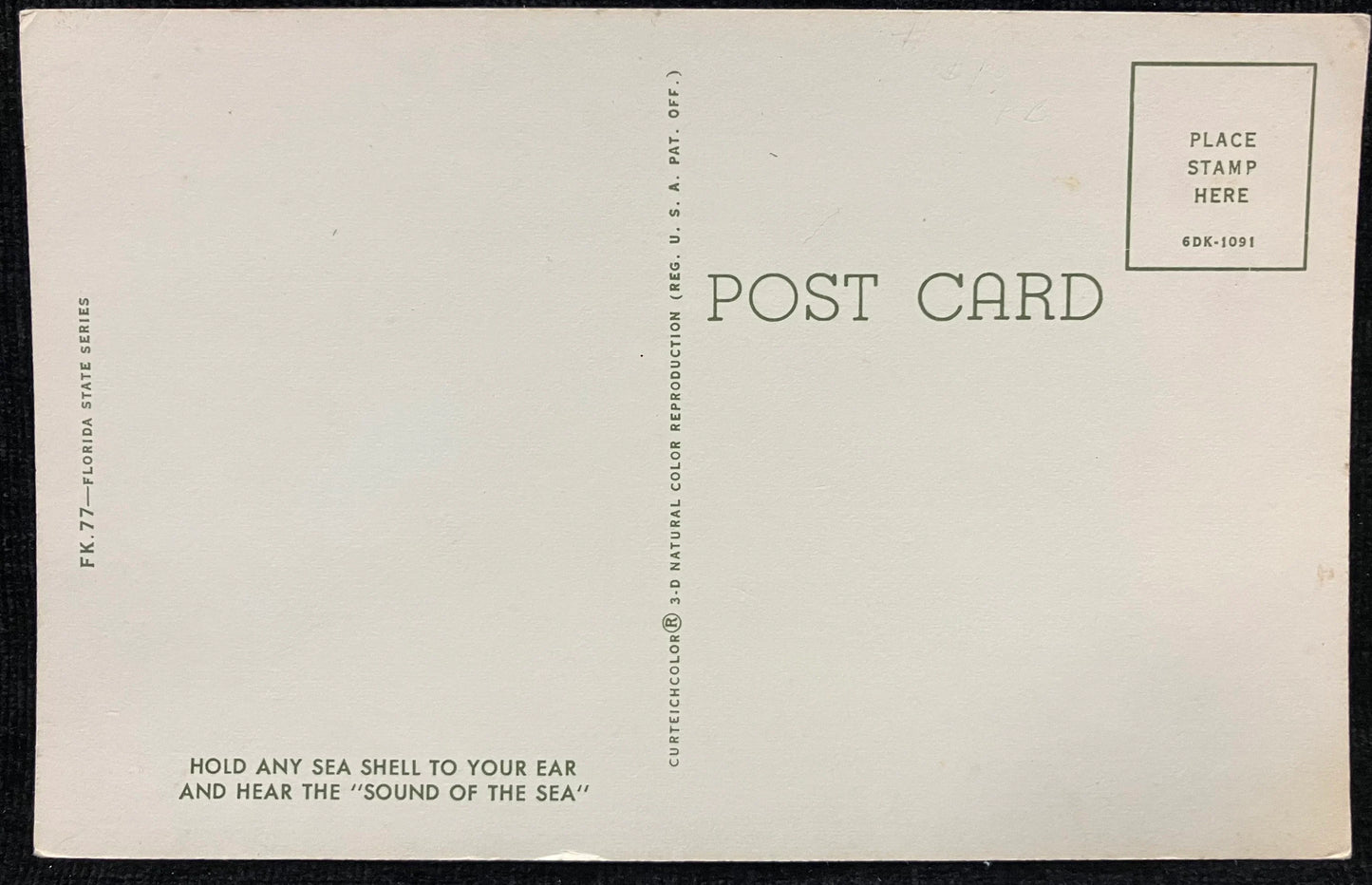 Sea-Shells of Florida - A Fine Sea-Shell Collection - Vintage Postcard