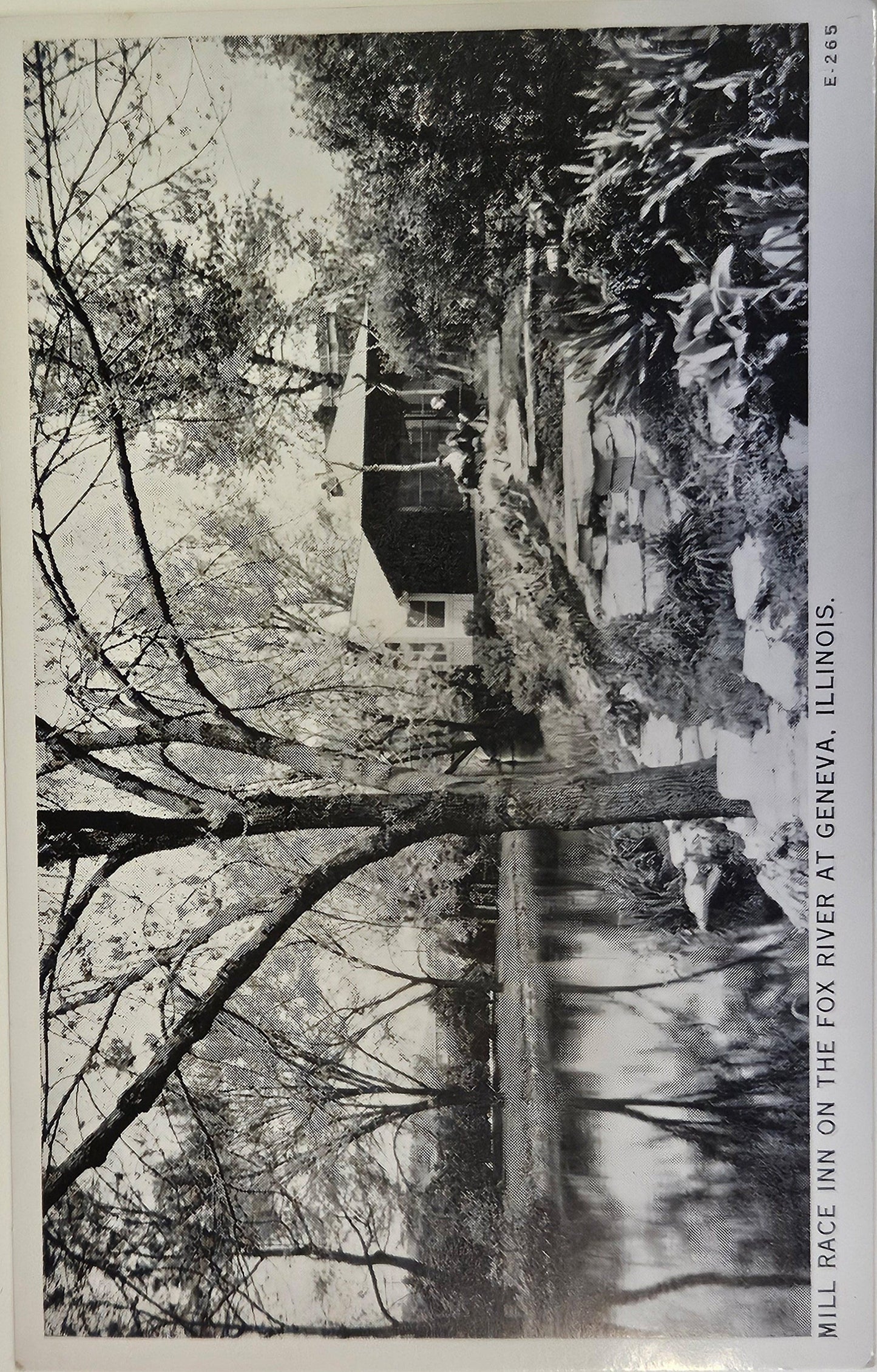 Mill Race Inn Fox River - Geneva Illinois - Black and White Photo postCard - opened as Tea Room in 1933 - Built in Historic 1846 Paper Plant