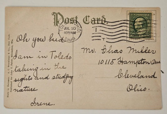 Maumee Bay Postcard, Toledo, Ohio - Vintage Postcard