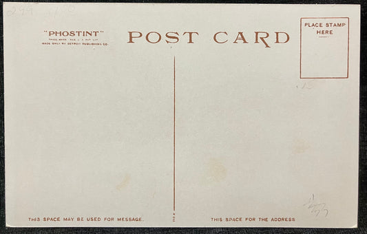 A Mountain Toll Gate, Michigan - Copr. Detroit Photographic Co. - Vintage 1900s Postcard