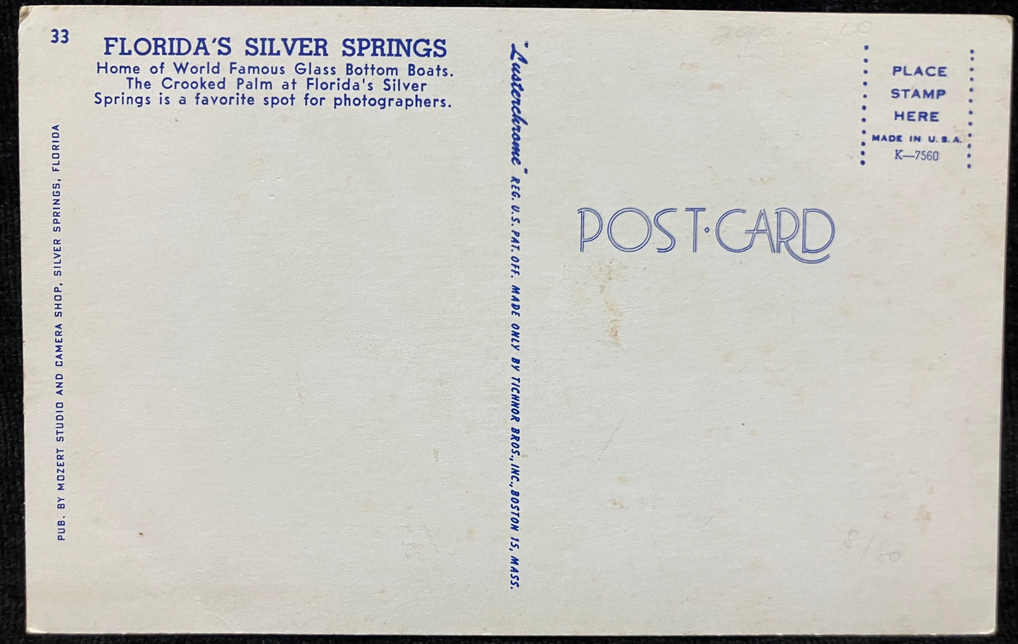 Florida’s Silver Springs - Vintage Postcard