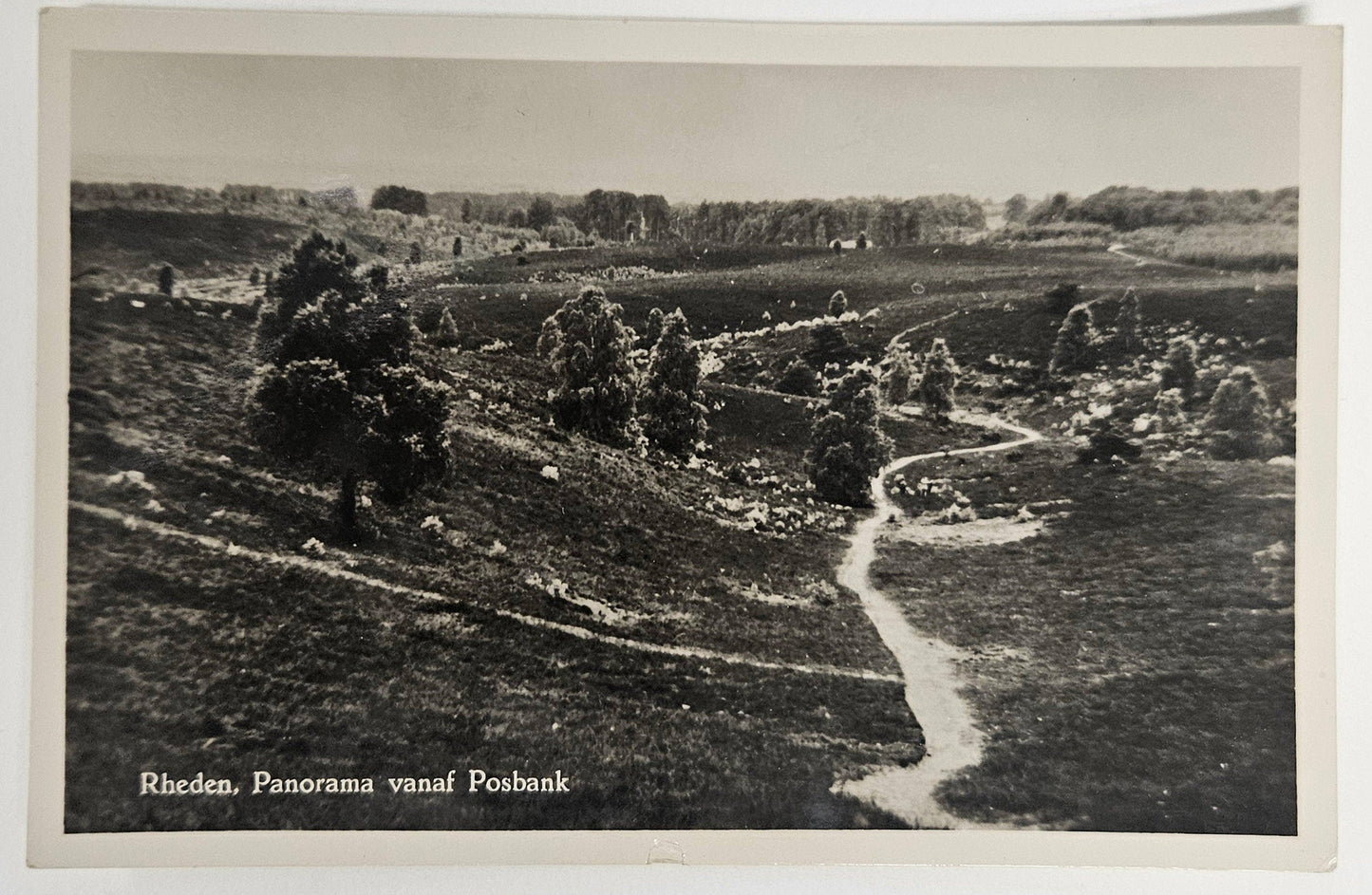 RPPC - 1957 Dutch Countryside Rheden Panorama Vanaf Posbank - Scenic Over View in Netherlands Countryside - Pastoral Photo -4 stamps