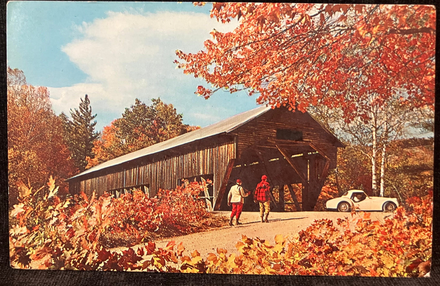 Old Covered Bridge - Photo Ozzie Sweet - Vintage 1960s Bridge Postcard