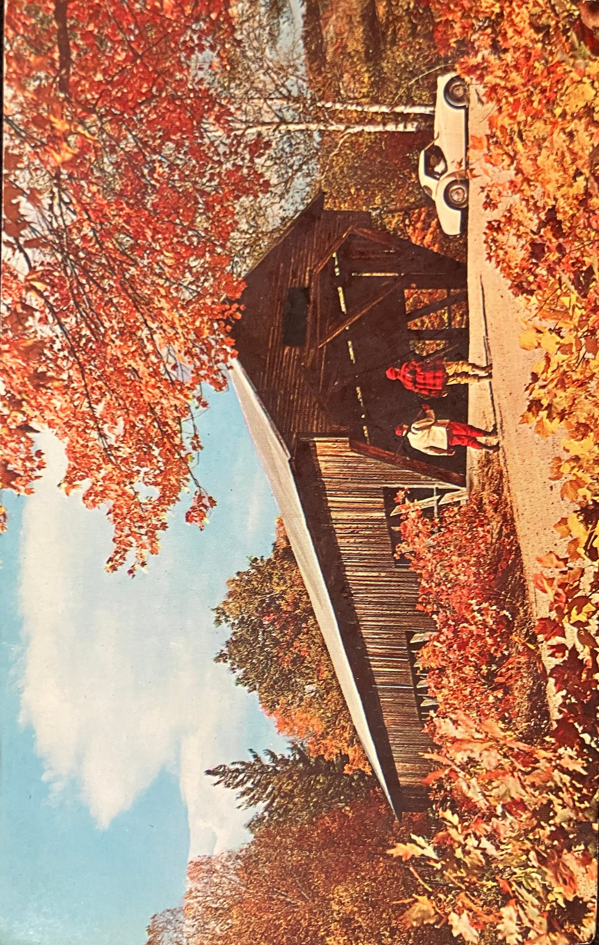 Old Covered Bridge - Photo Ozzie Sweet - Vintage 1960s Bridge Postcard