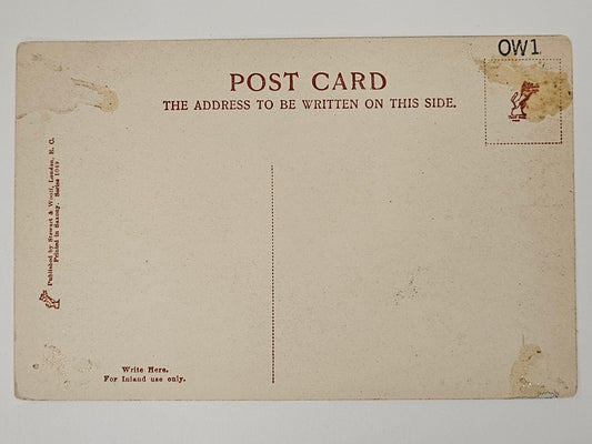 The Old Weir Bridge, Killarney Ireland Postcard 1910 Back: For Ireland Use Only no message or stamp