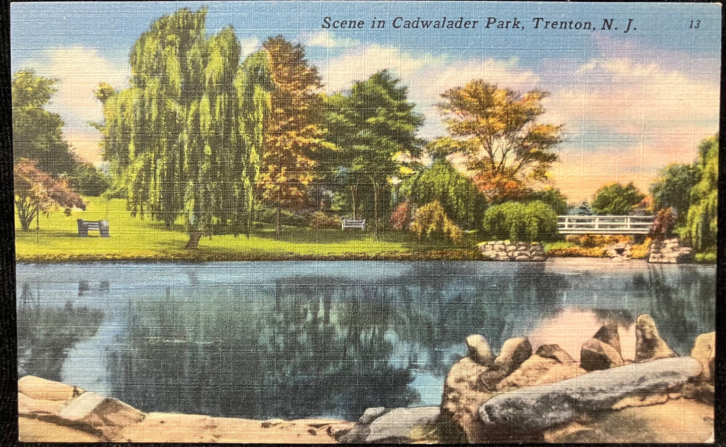 Scene in Cadwalader Park, Trenton, New Jersey - Vintage Park Postcard