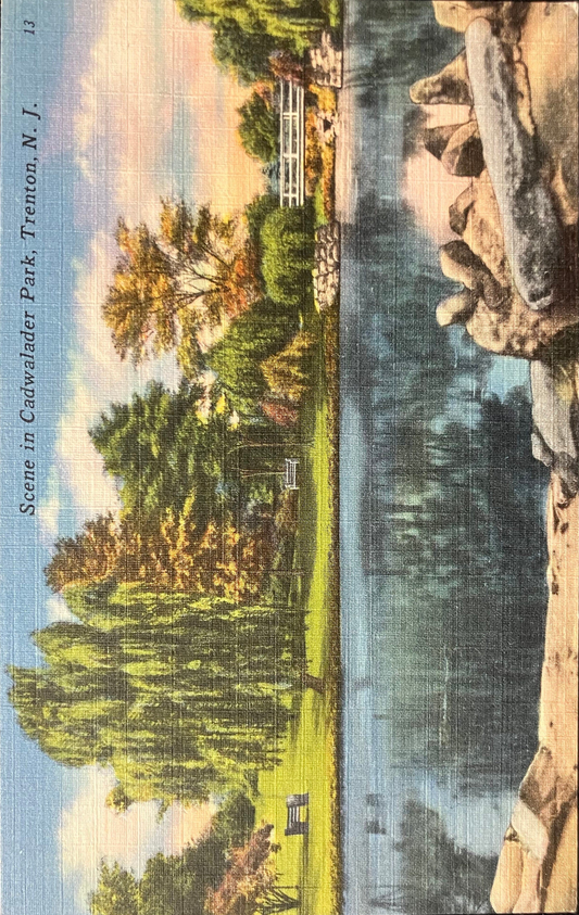 Scene in Cadwalader Park, Trenton, New Jersey - Vintage Park Postcard
