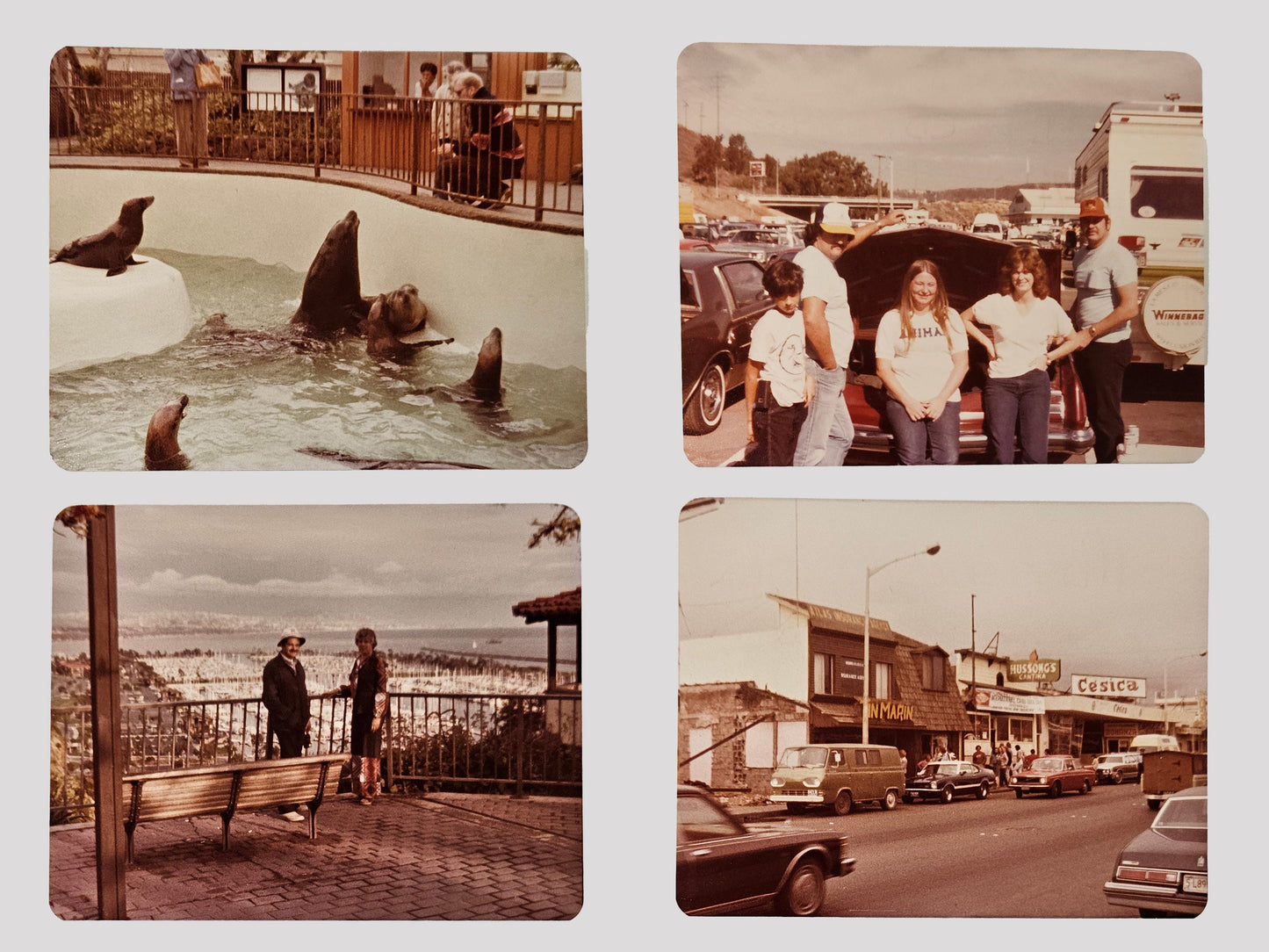 California Vacation Photos - 1979-1980 - Kodak Color Photos - San Diego - Charger's Game - Dana Point Harbor- Seaworld - Sold as a set of 4