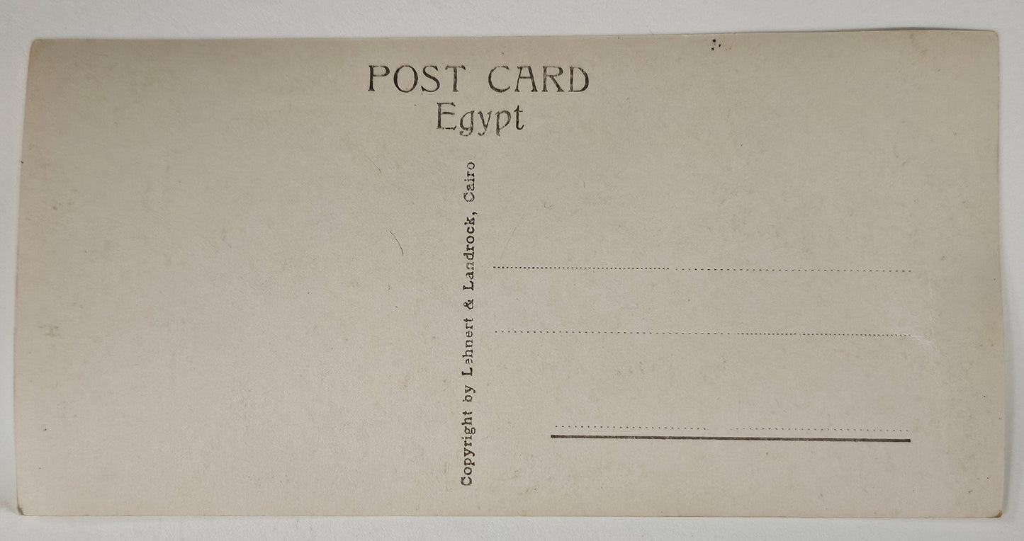 Cairo Egypt General View - Early 1900s Postcard - RARE hand tinted Egyptian Postcard - Popular Victorian Destination