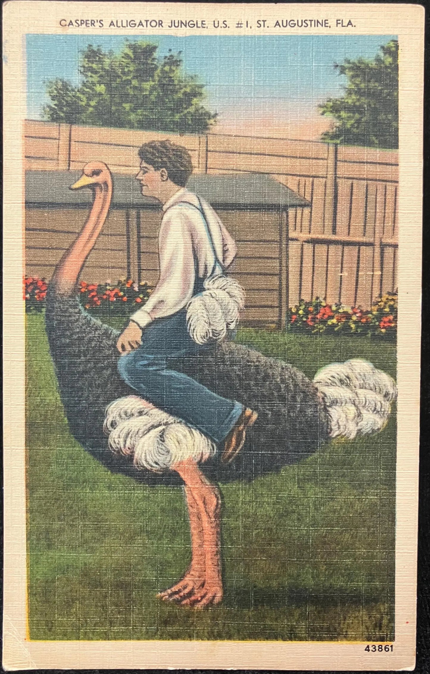Casper’s Alligator Jungle, U.S. #1, St. Augustine, Florida - Vintage Zoo Postcard