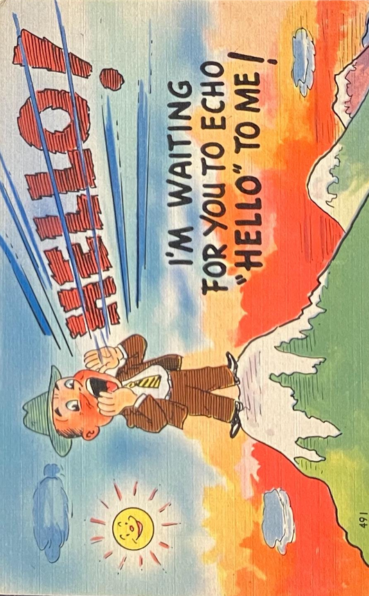 Cartoon Postcards - 1940s-50s - “I’m Waiting for you to Echo ‘Hello’ to Me!” - "It’s Time we Heard f