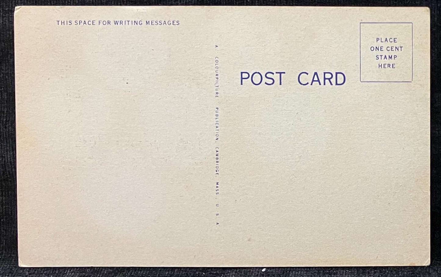 Cartoon Postcards - 1940s-50s - “I’m Waiting for you to Echo ‘Hello’ to Me!” - "It’s Time we Heard from You!" - Sold as Set of Two