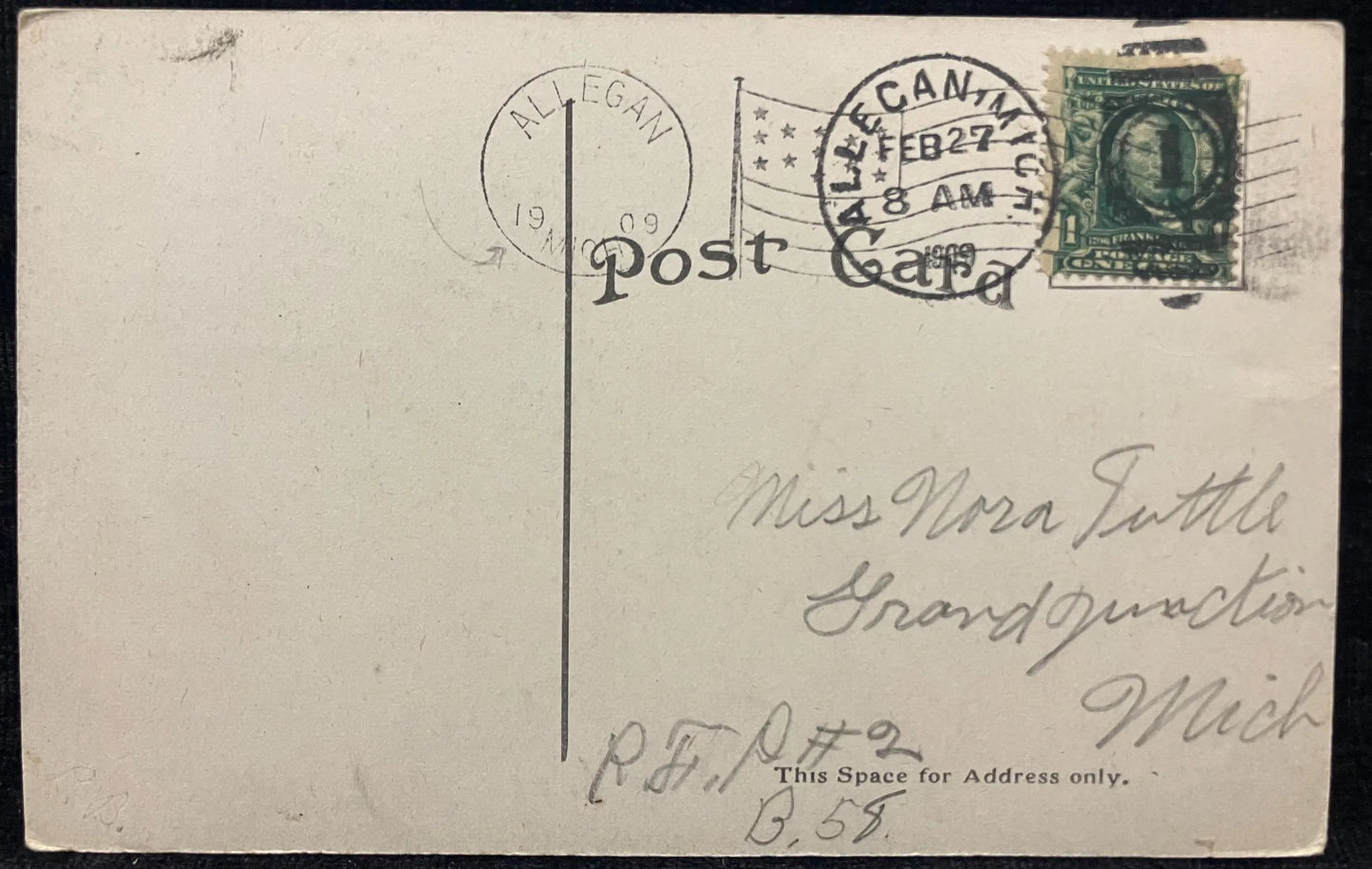 Lover's Lane, Tannery Creek, Allegan, Michigan - Vintage Nature Postcard