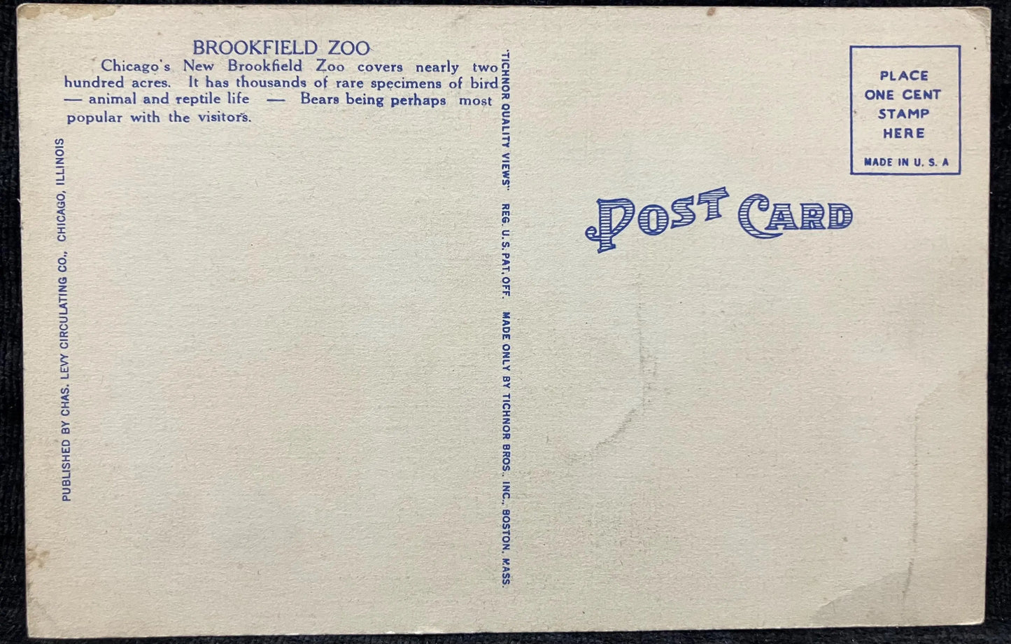 Kodiak Bears, Brookfield Zoo, Chicago, Illinois - Vintage Zoo Postcard