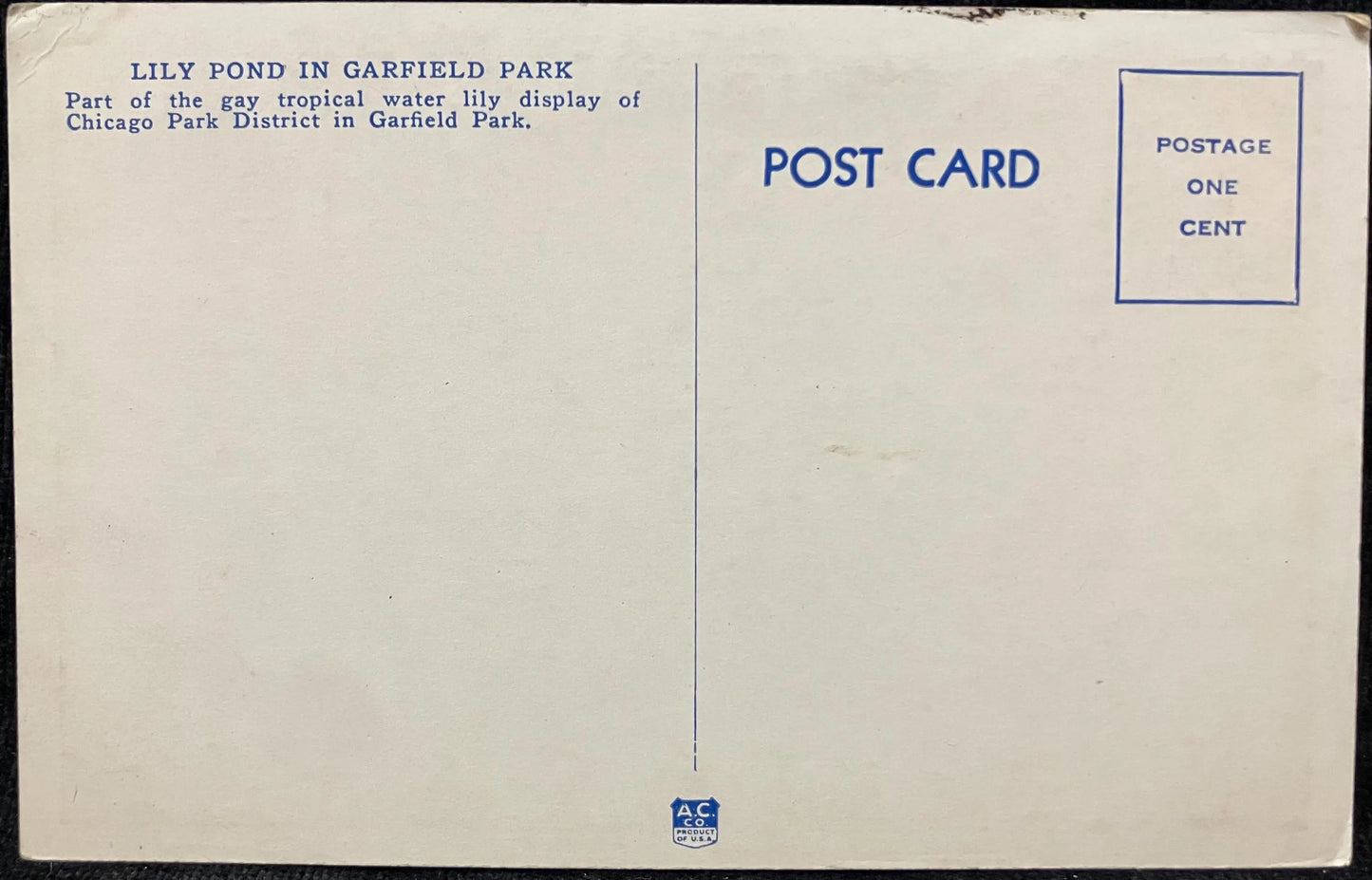 Lily Pond in Garfield Park, Chicago, Illinois - Vintage Park Postcard