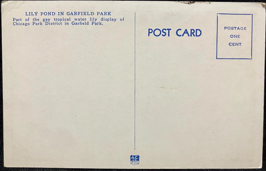 Lily Pond in Garfield Park, Chicago, Illinois - Vintage Park Postcard
