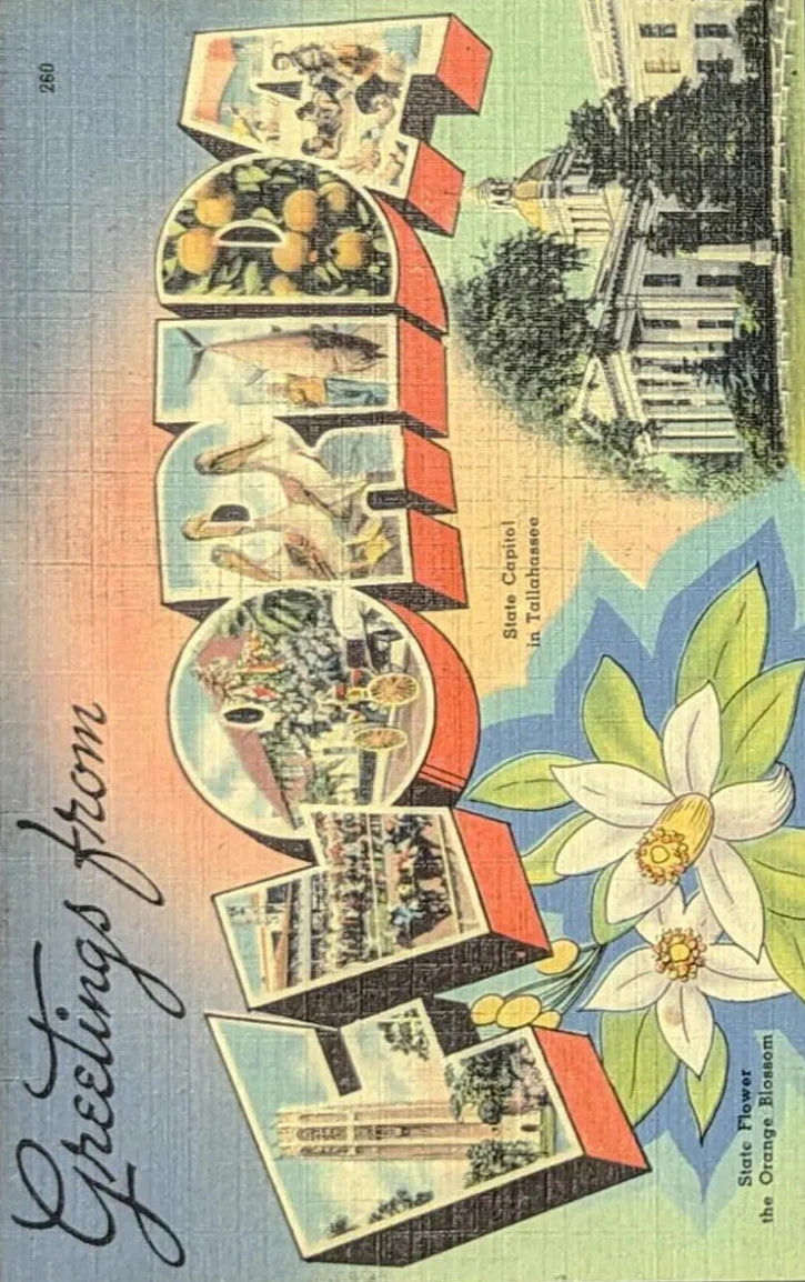 Greetings from Florida - Digital Print Download