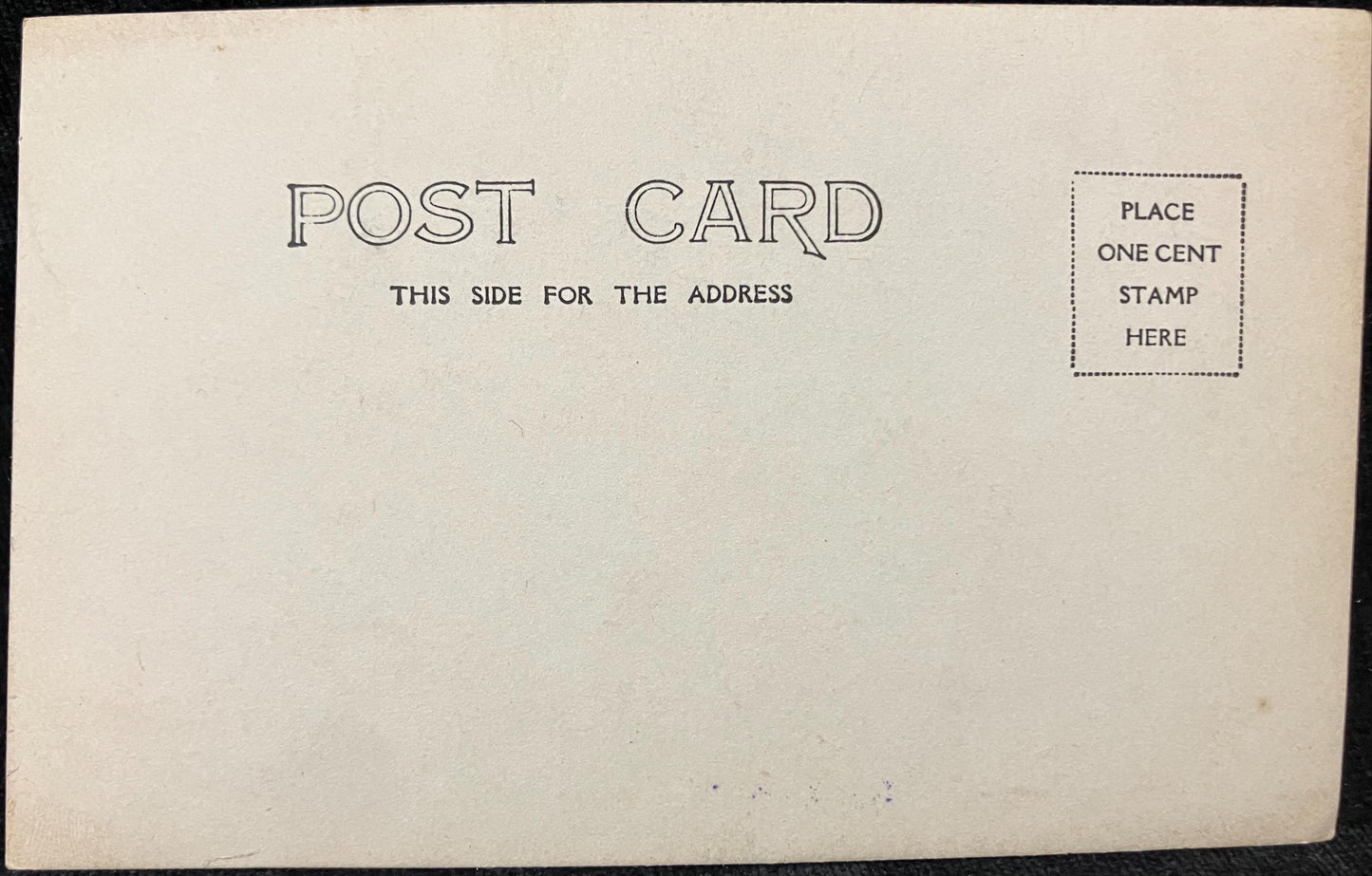 RPPC - Hotel Tremont - Photo by W. L. Wilson. - Vintage pre 1906 Hotel Postcard