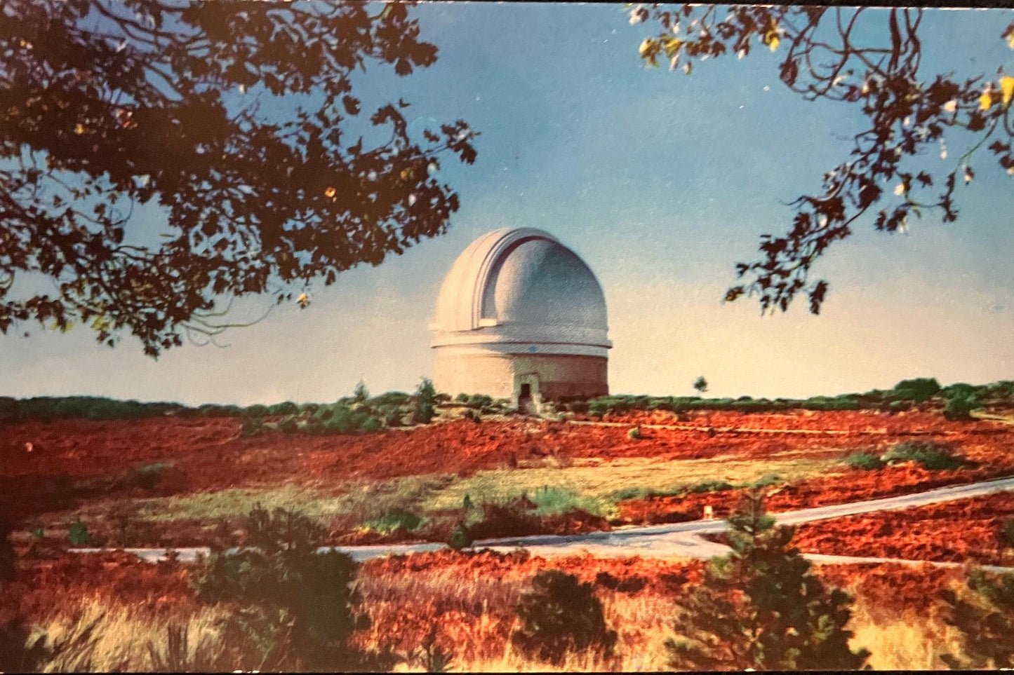 Palomar Observatory - Palomar Mountain, California- Vintage Postcard